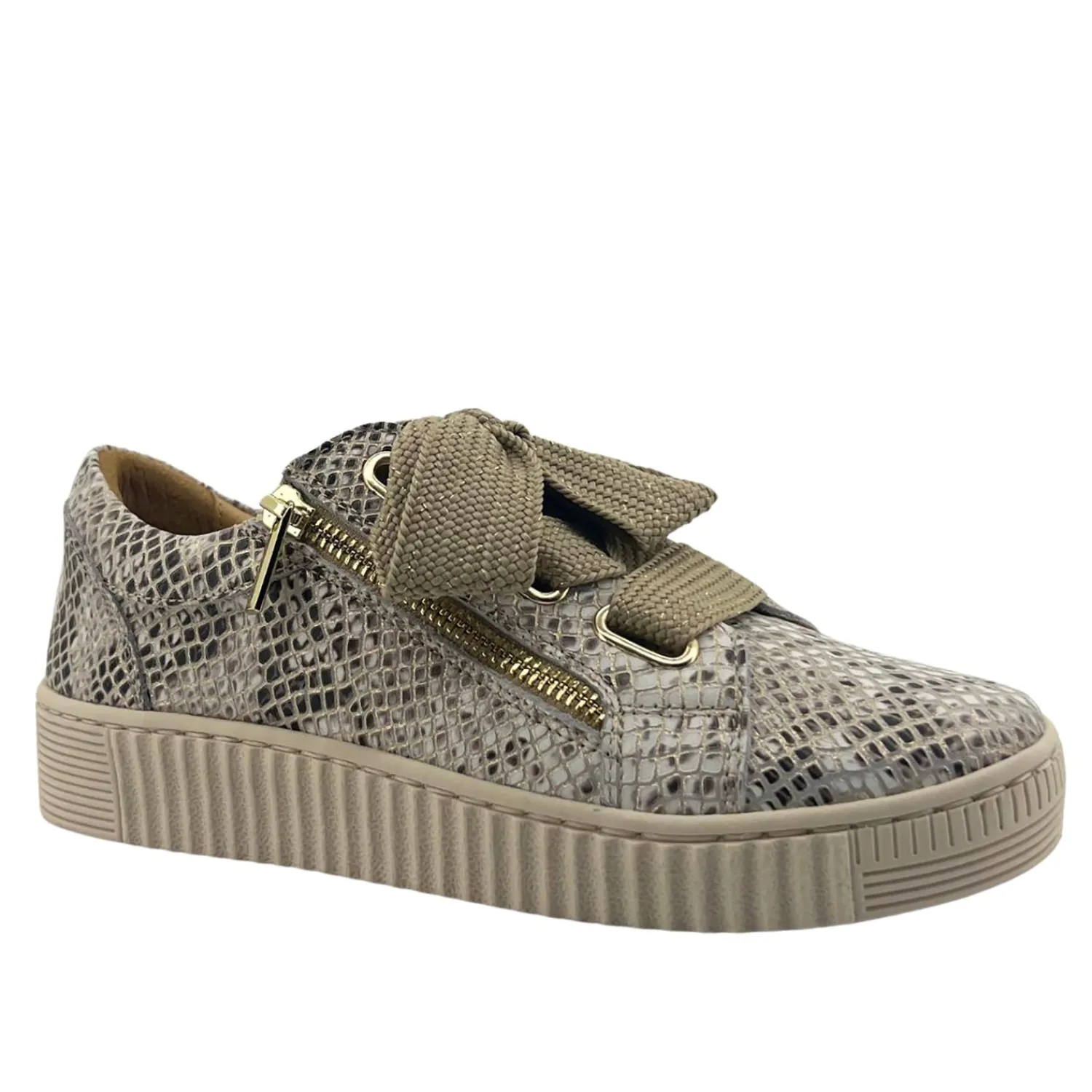 Outlet Jovi Champagne Snake Sneaker - ES3 Sneakers